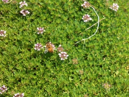 e0126576_14231489.jpg