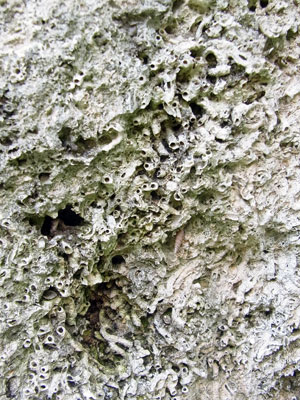 f0083977_23121173.jpg