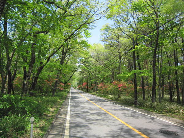 c0218879_2243518.jpg