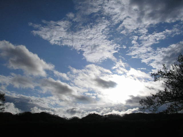 b0192980_1850637.jpg