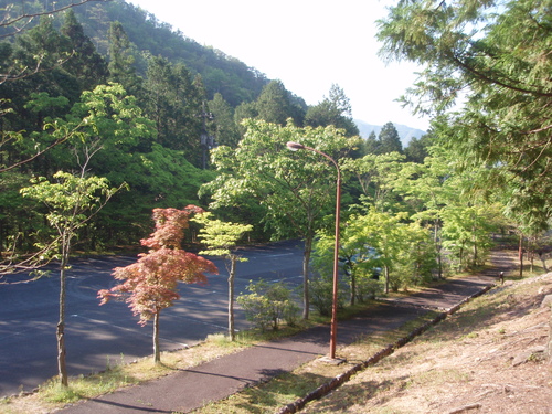 f0223480_8272298.jpg