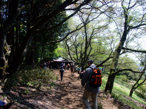 陣馬山〜景信山〜小仏峠　〜5月5日(土)〜　その⑤_a0043982_6461085.jpg