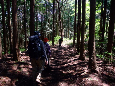 陣馬山〜景信山〜小仏峠　〜5月5日(土)〜　その⑤_a0043982_6464761.jpg