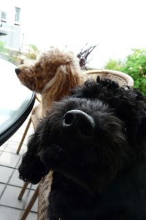 2012年5月20日 仕事するよ_b0098584_13111524.jpg