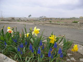 c0029190_22592781.jpg