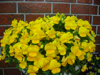 c0029190_23161457.jpg