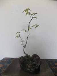 f0215591_610177.jpg