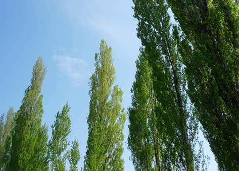 d0129295_16222996.jpg