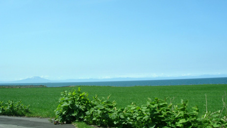 d0129295_16253129.jpg