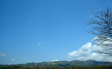 d0129295_16255914.jpg