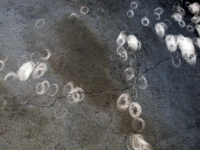 a0075800_10463460.jpg