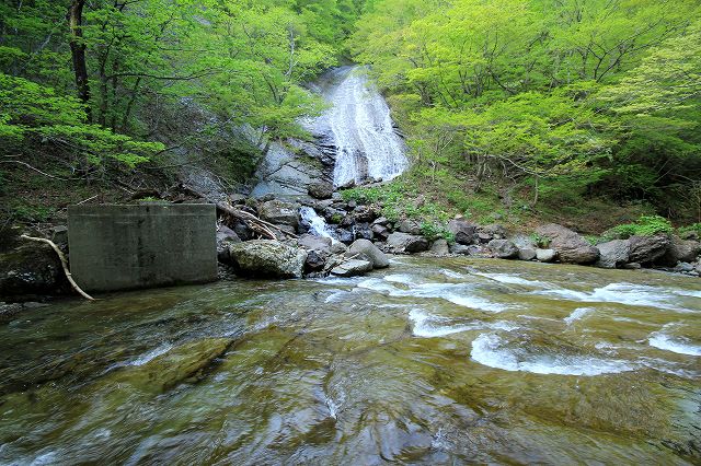 北石橋から糸岳。念願のコースを歩く。_e0137200_22185812.jpg