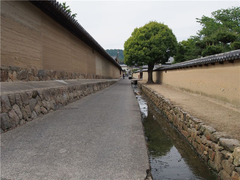 40年ぶりの法隆寺_f0224100_557292.jpg