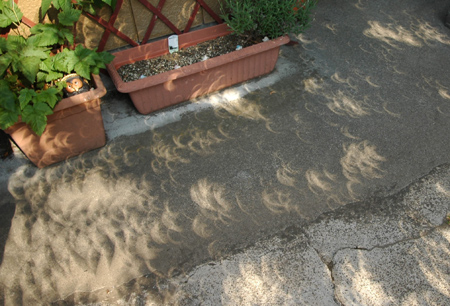 c0148401_1036278.jpg