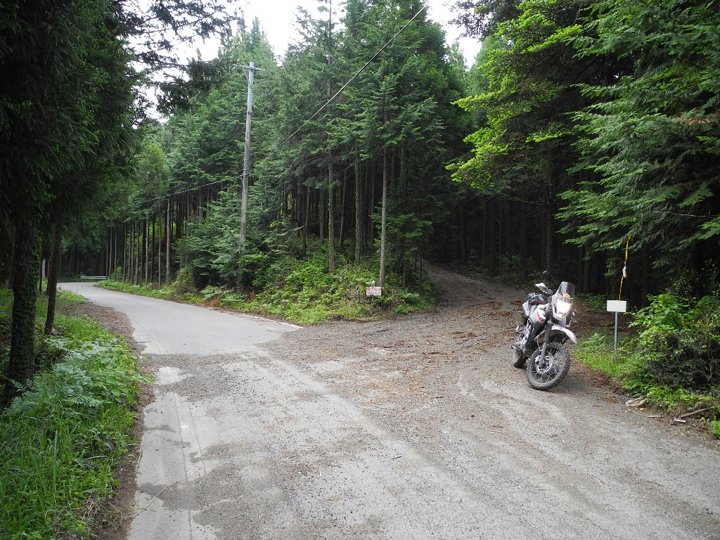 a0158802_041146.jpg