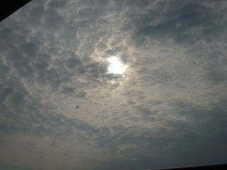 c0164603_8172777.jpg