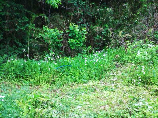 e0270403_2034085.jpg