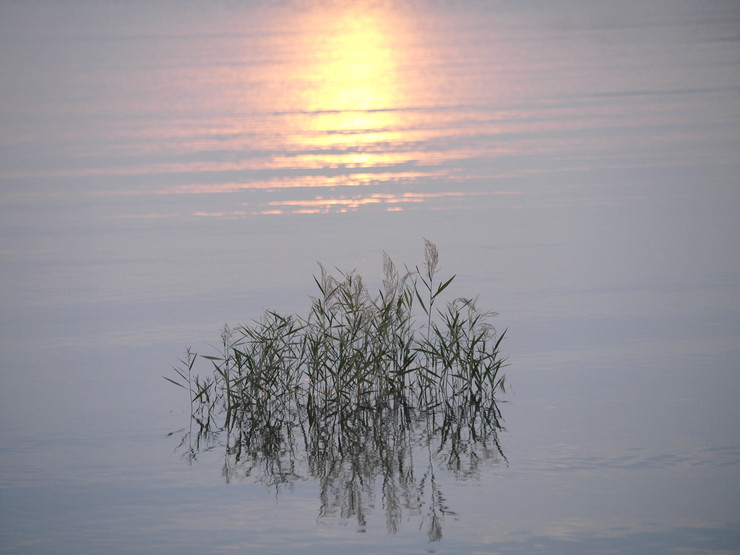 c0235114_657660.jpg