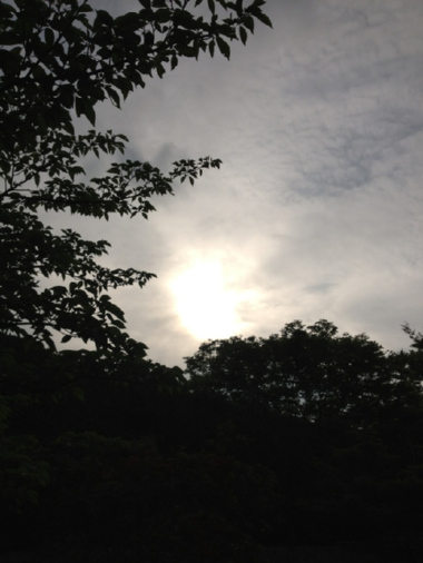 c0175715_1634153.jpg