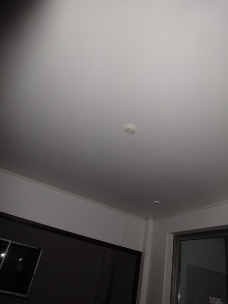 d0004617_2022275.jpg