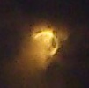 d0106518_858166.jpg