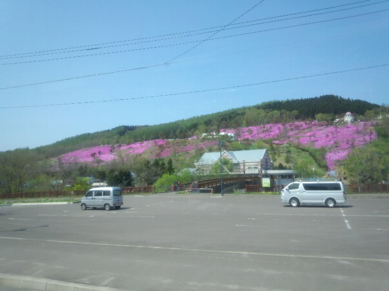 滝上の芝桜とオホーツク紋別空港_b0128821_19142270.jpg