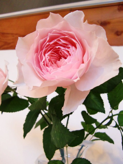 c0220724_021325.jpg