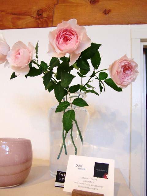 c0220724_03199.jpg