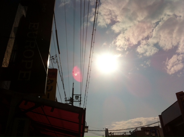 金環日食_d0127925_12593745.jpg