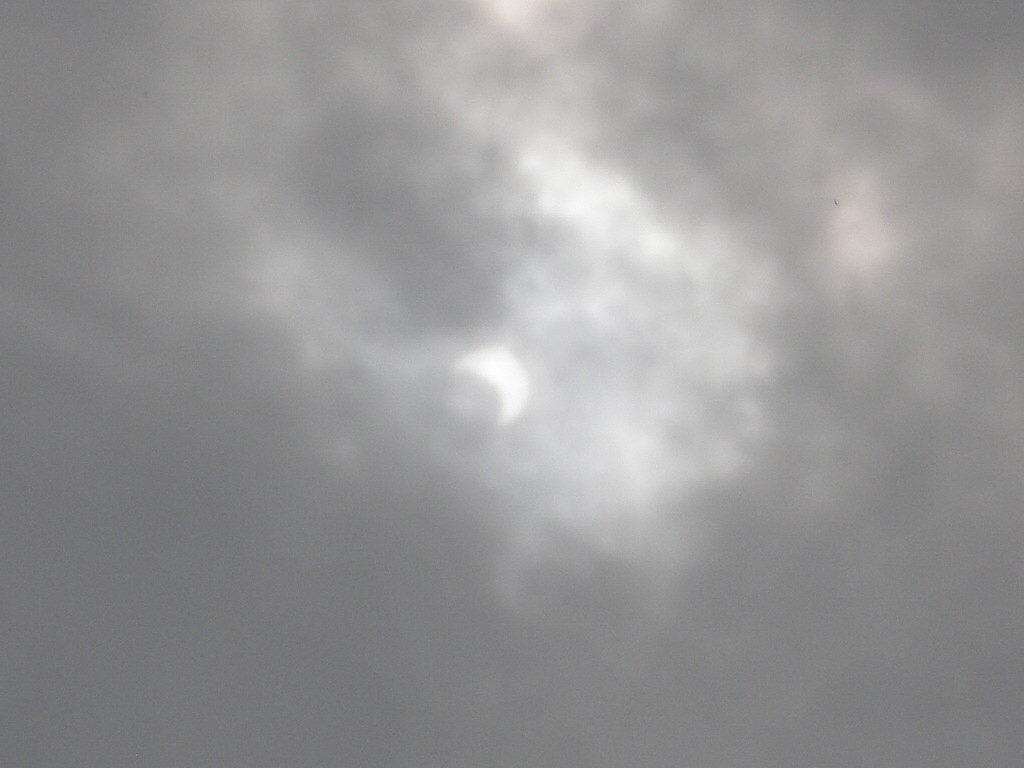 e0204927_15562275.jpg