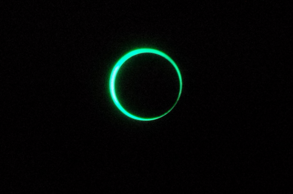b0050130_823416.jpg