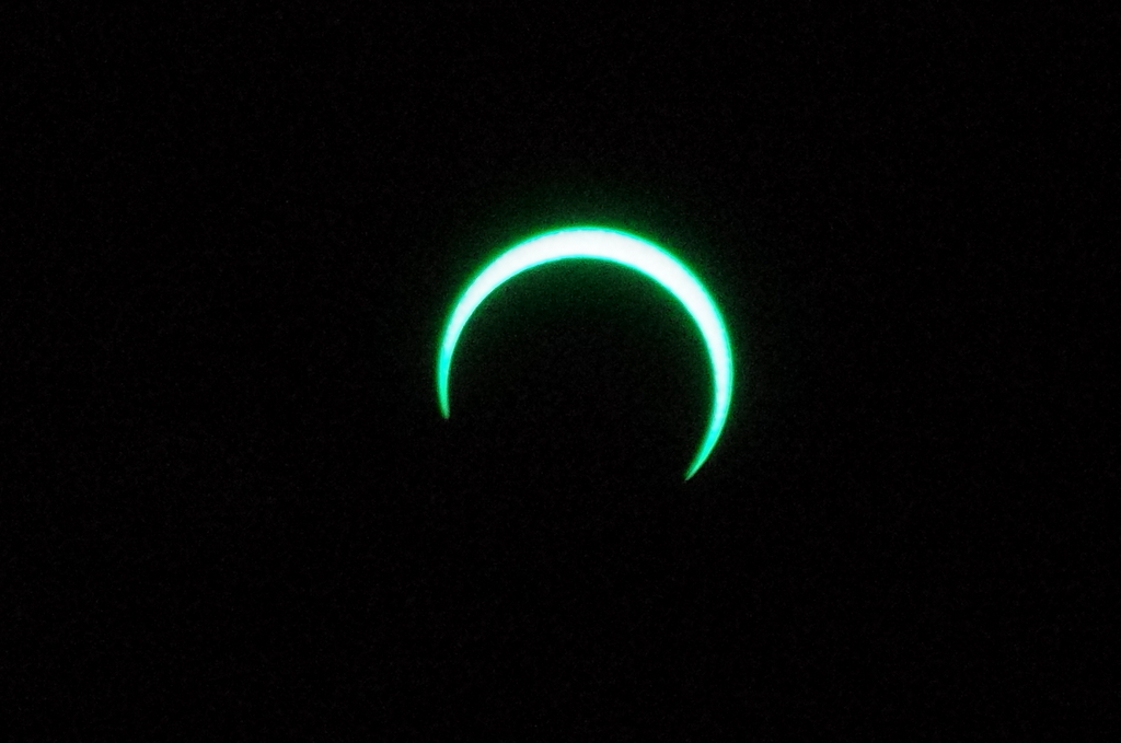 b0050130_8335219.jpg