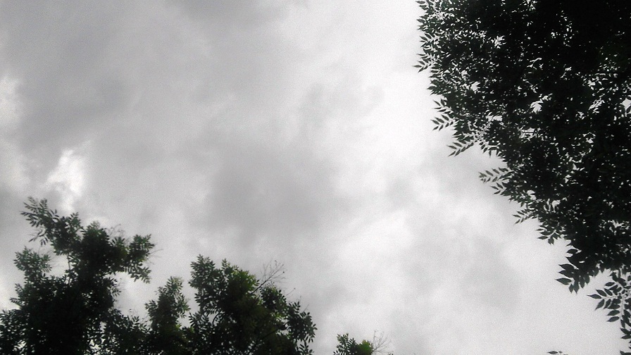 d0247530_1050983.jpg
