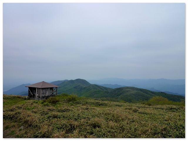 d0075131_08361.jpg