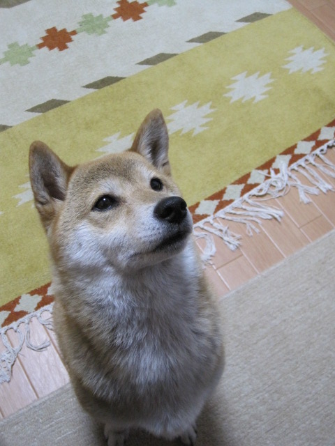b0167733_13433394.jpg
