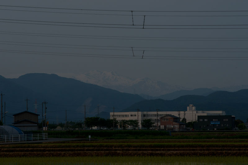 b0177233_51264.jpg