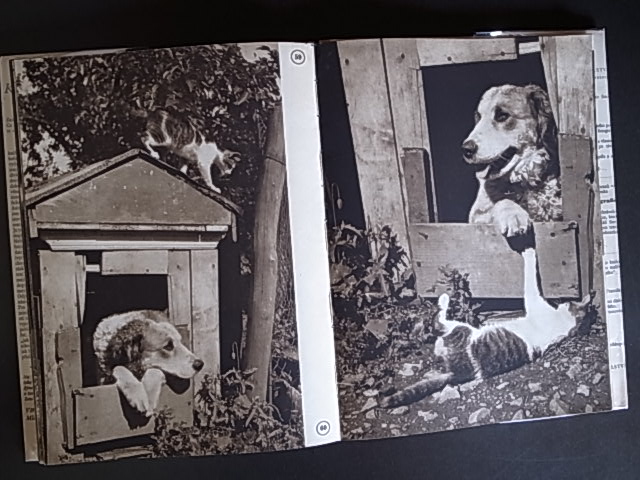 RAF Vaclav Jiru バーツラフ・イーロ 猫 犬 写真集