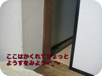 e0255638_17414941.png