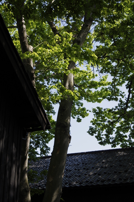 d0237340_21452698.jpg