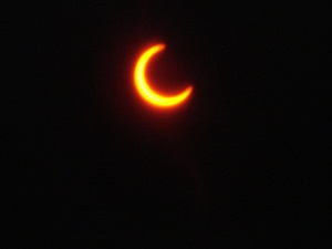 d0194741_22134214.jpg