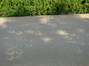 d0194741_22134517.jpg