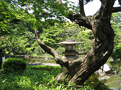 バラフェスティバル~旧古河庭園_b0134745_1159301.jpg