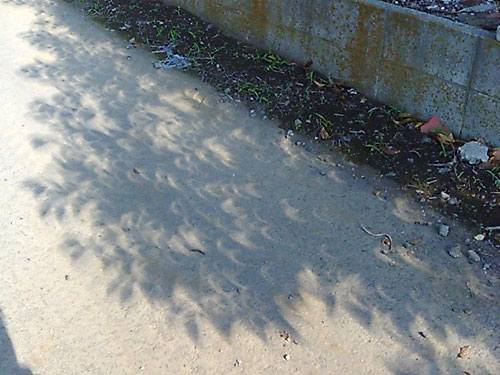 c0210745_1033477.jpg