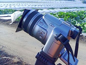 c0210745_1044659.jpg