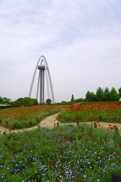 d0186245_13165067.jpg