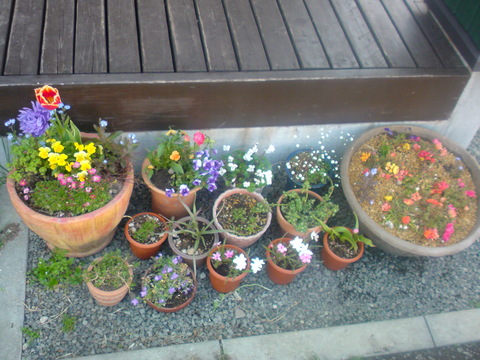 e0255945_0173629.jpg