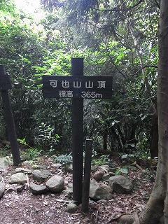 a0150050_0362993.jpg