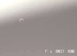c0244650_1235651.jpg