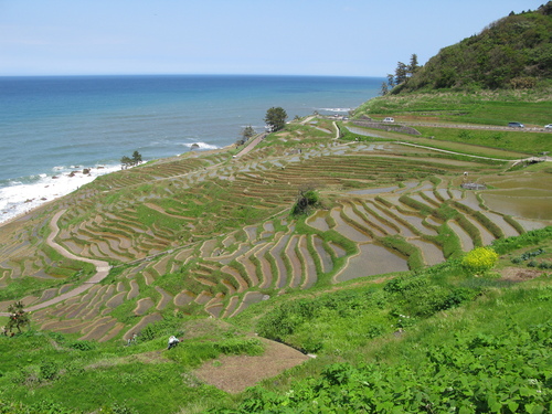 c0213352_85356.jpg