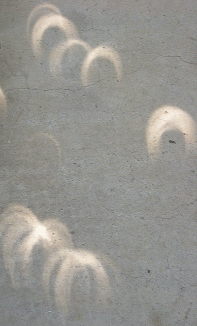 a0001354_1058215.gif